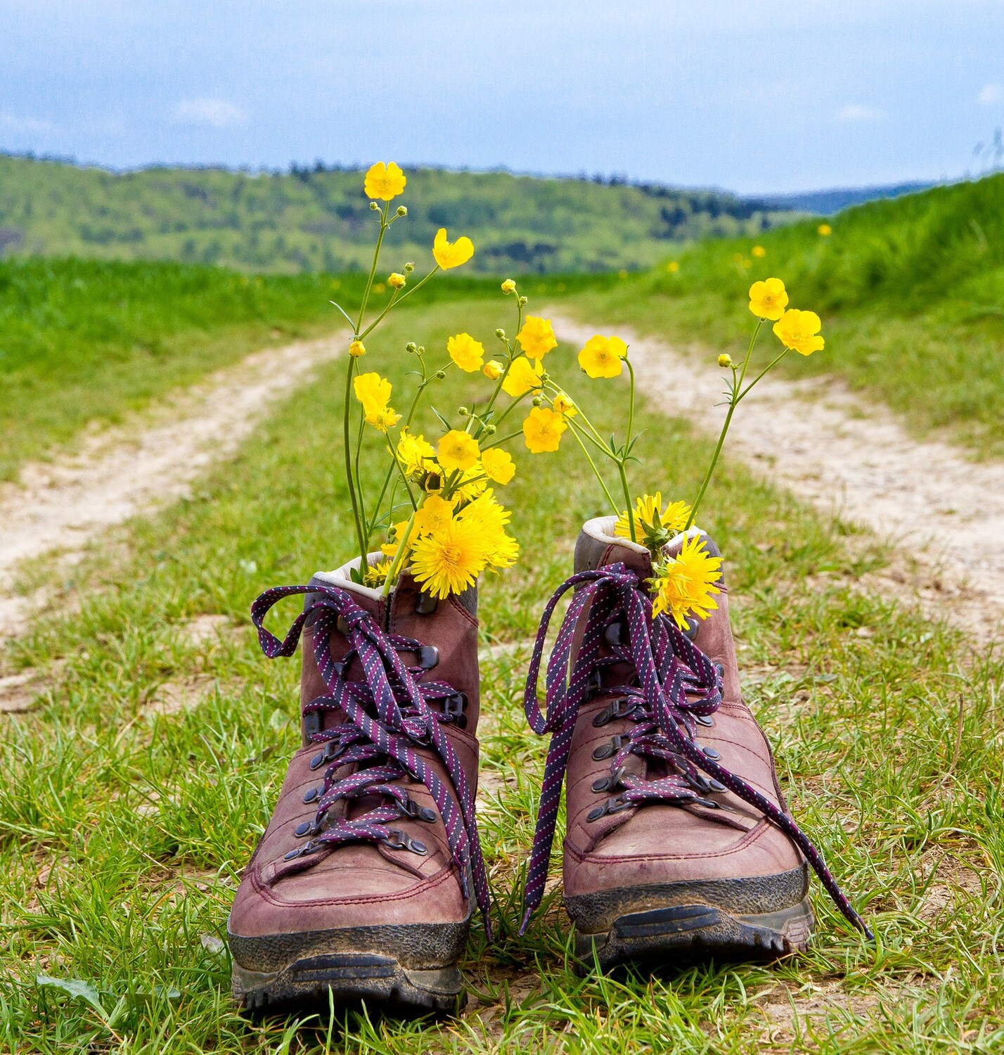 Auf dem Weg / Jürgen Fälchle - Fotolia